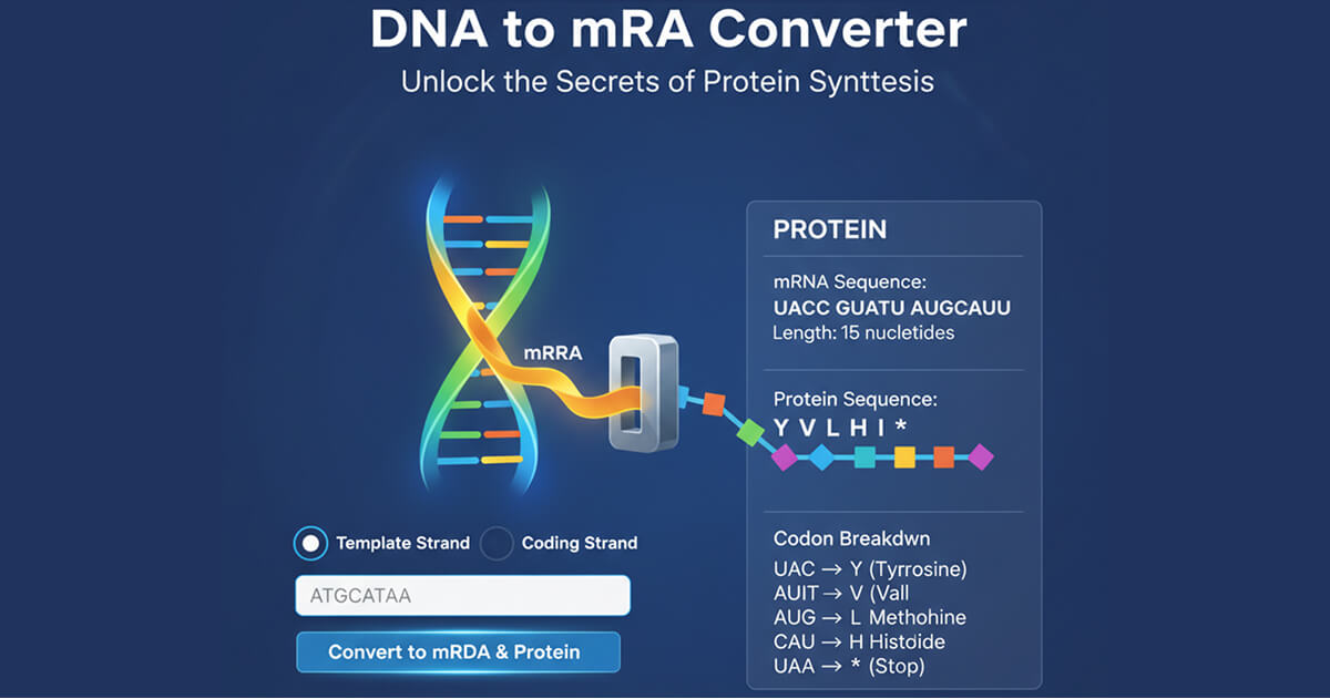 DNA to mRNA Converter - Free & Easy Tool